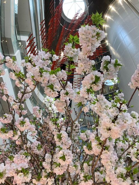 🌷婚活お役立ち情報パート２９🌷    今日は女性会員様向けです。結婚相談所で良い人と出会うためには？　季節は春です✨　新しい確かな出会いに向けて、勇気を出して一歩踏み出してみませんか😊