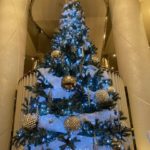 今日の日経新聞より「求められる少子化対策・結婚する選択がハードル」を読んで感じたことを書きました。たくさんの人が結婚して、たくさんの子供が生まれて、賑やかで明るい未来が続くと良いなと心から願います😊✨