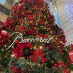 【🎍年末年始休業のお知らせ🎍】12月２７日（土）～１月４日（日）まで、年末年始休業とさせていただきます。　２０２５年の振り返りとアイドゥでの婚活サポートについて。